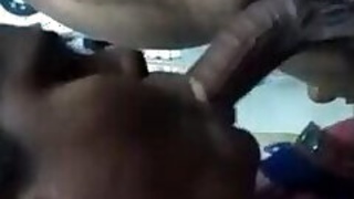 Tamil Wife Gives Blowjob